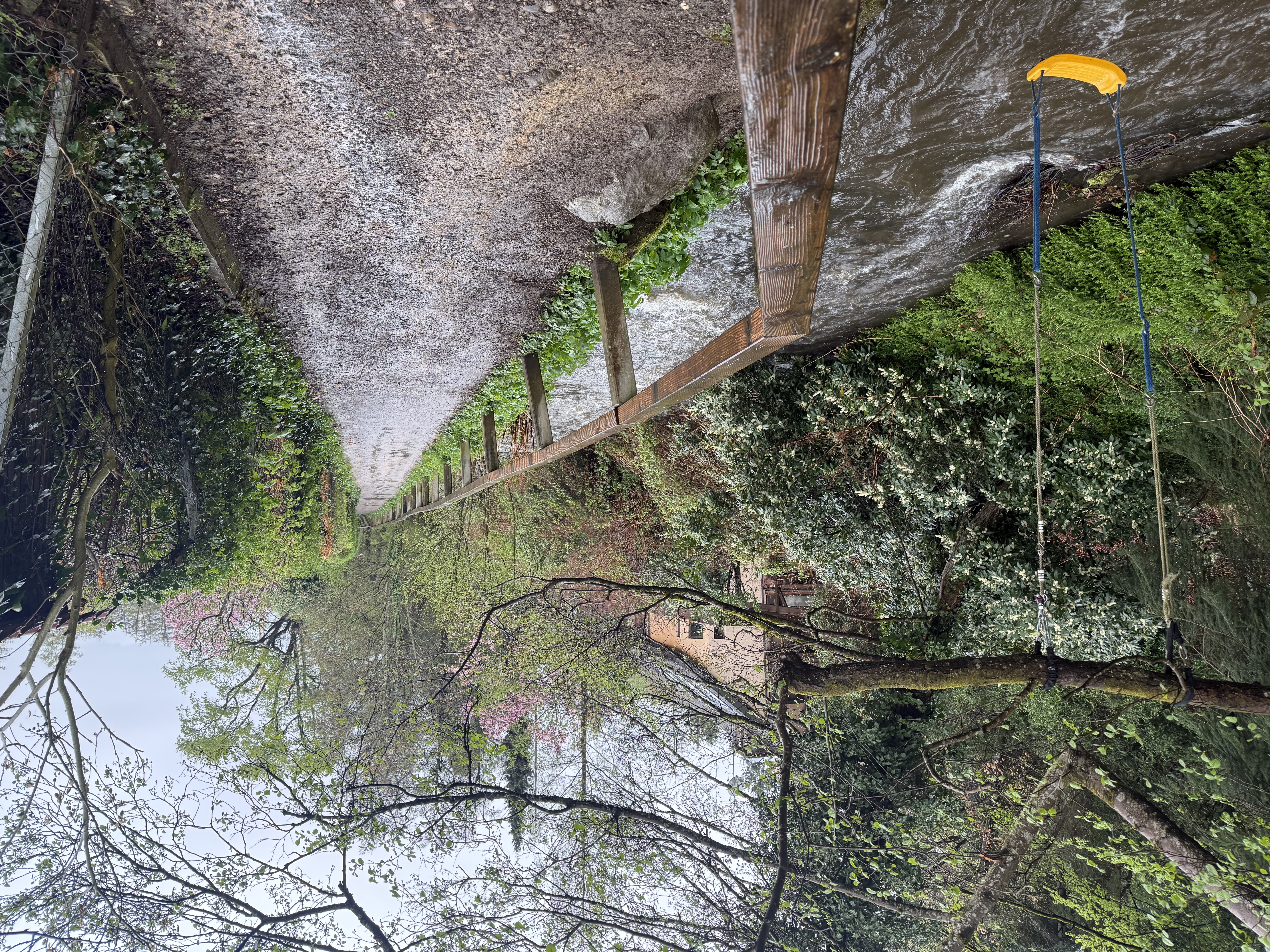rainy scenery