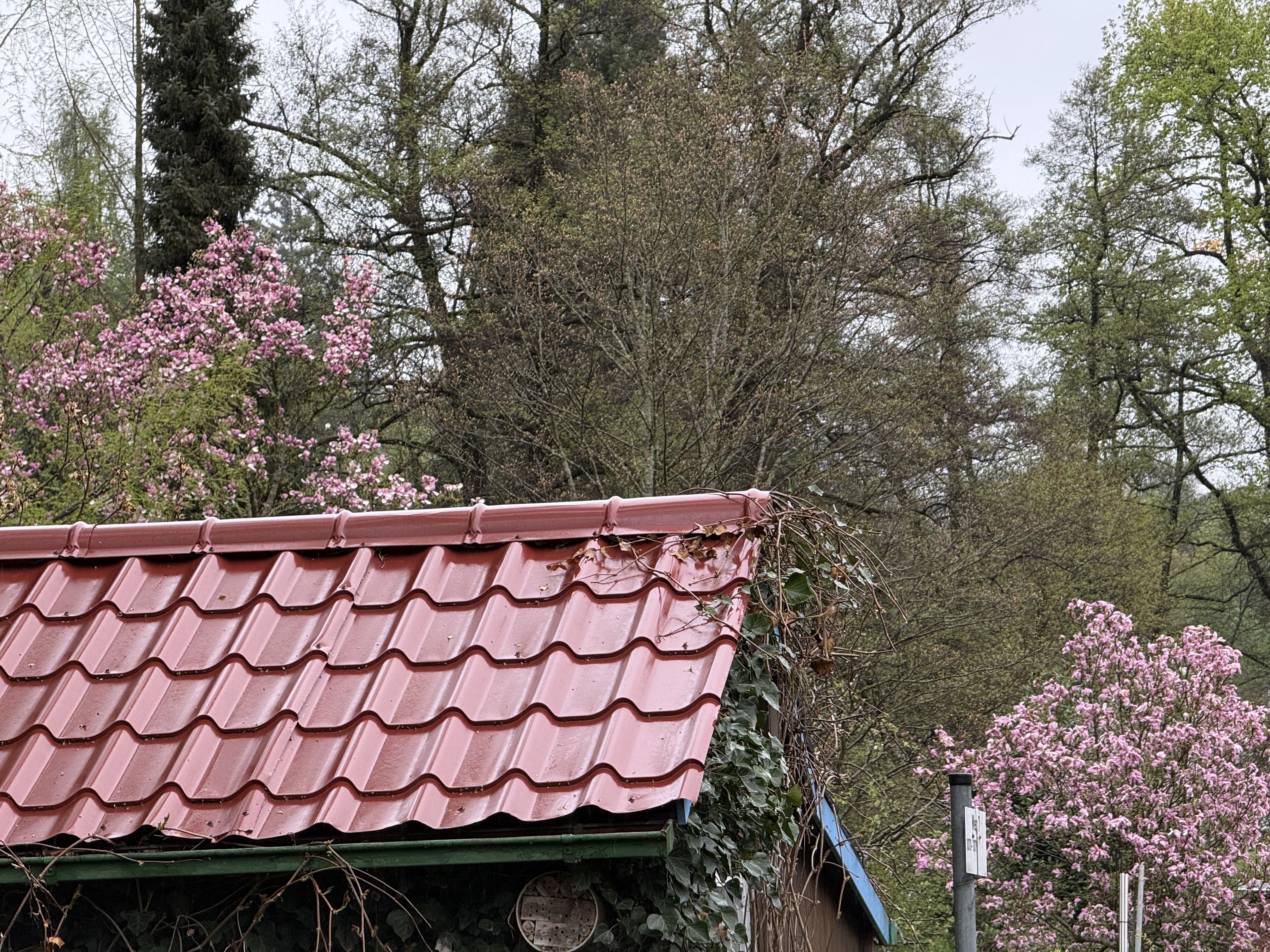 rainy scenery
