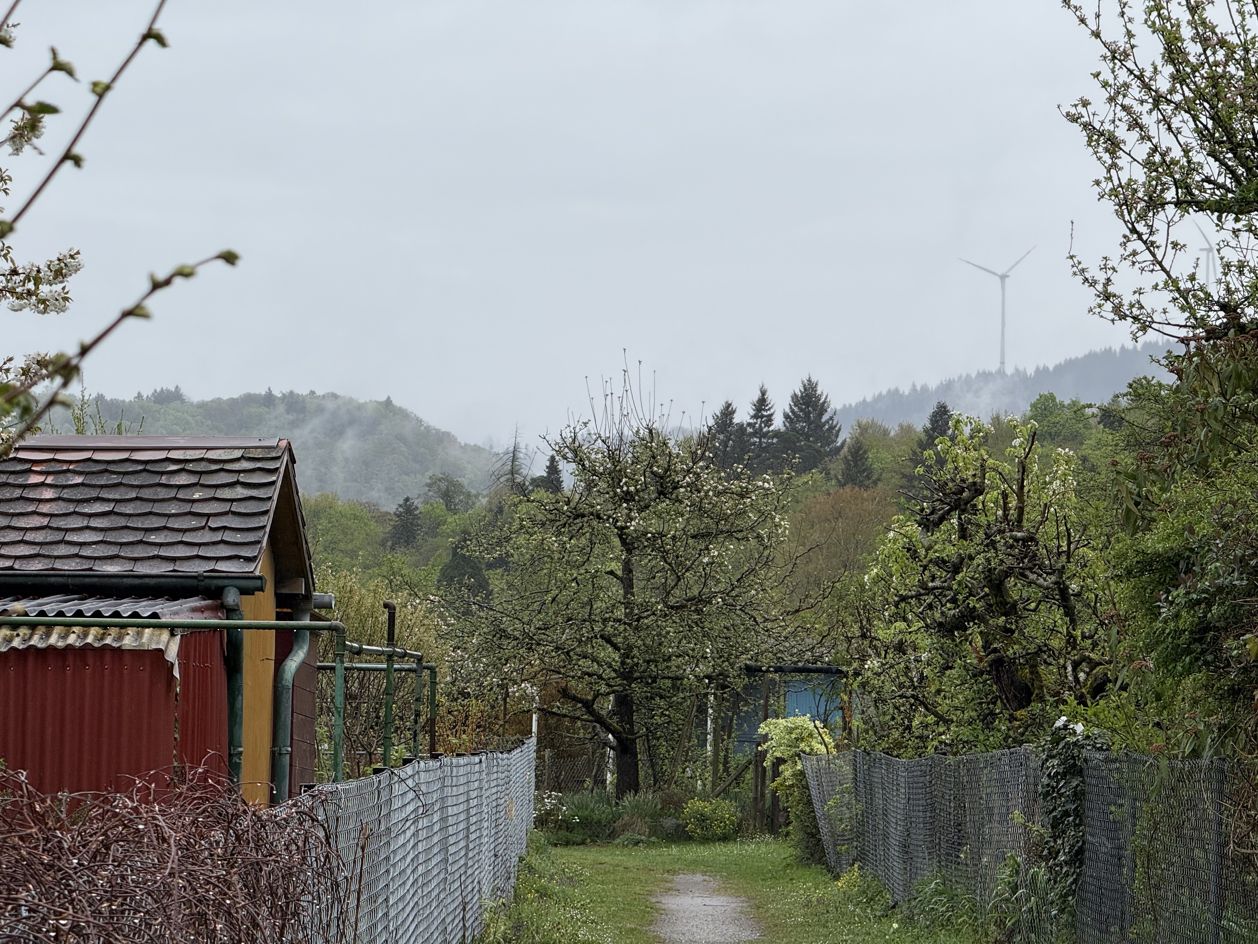 rainy scenery