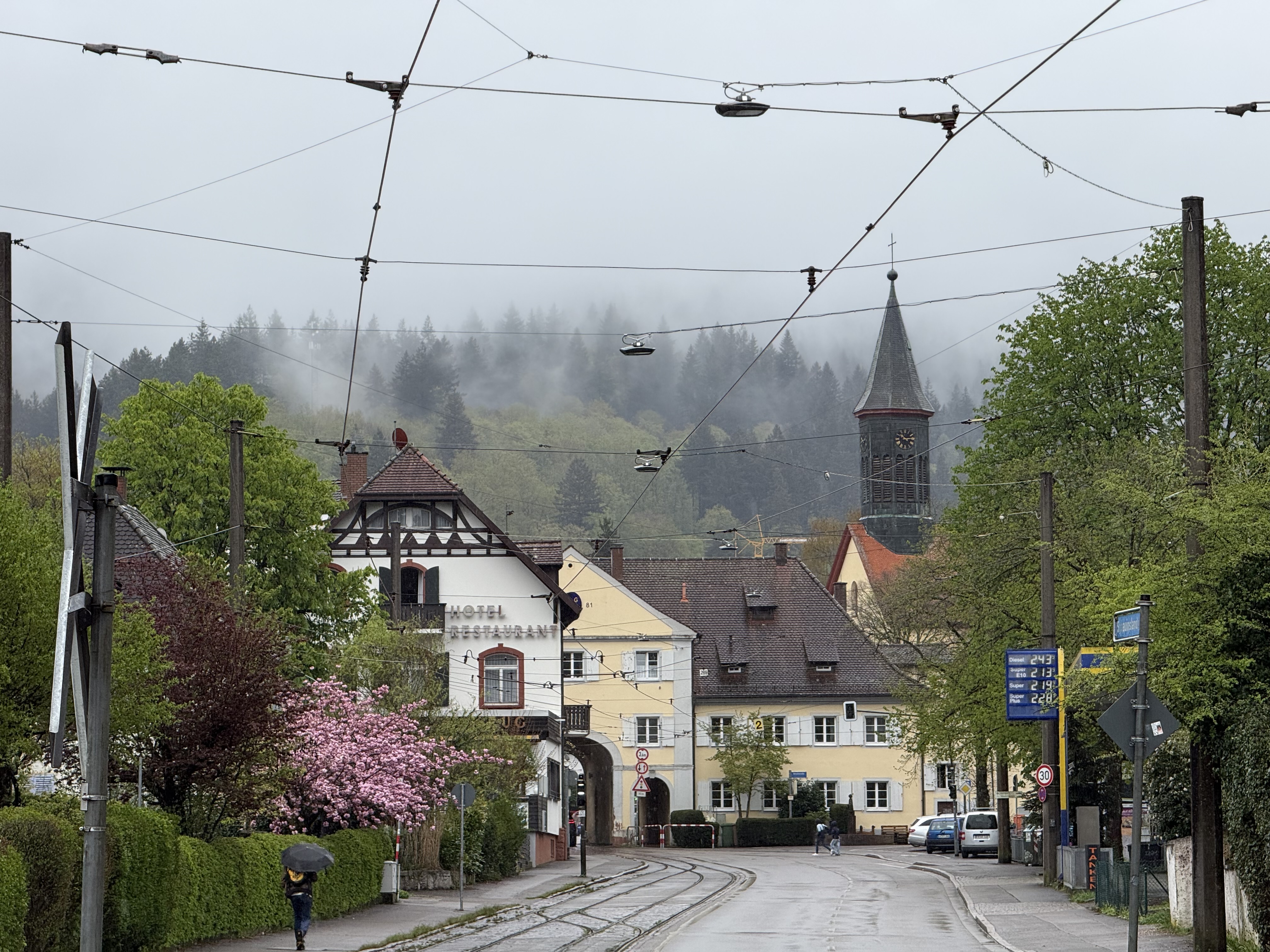 rainy scenery