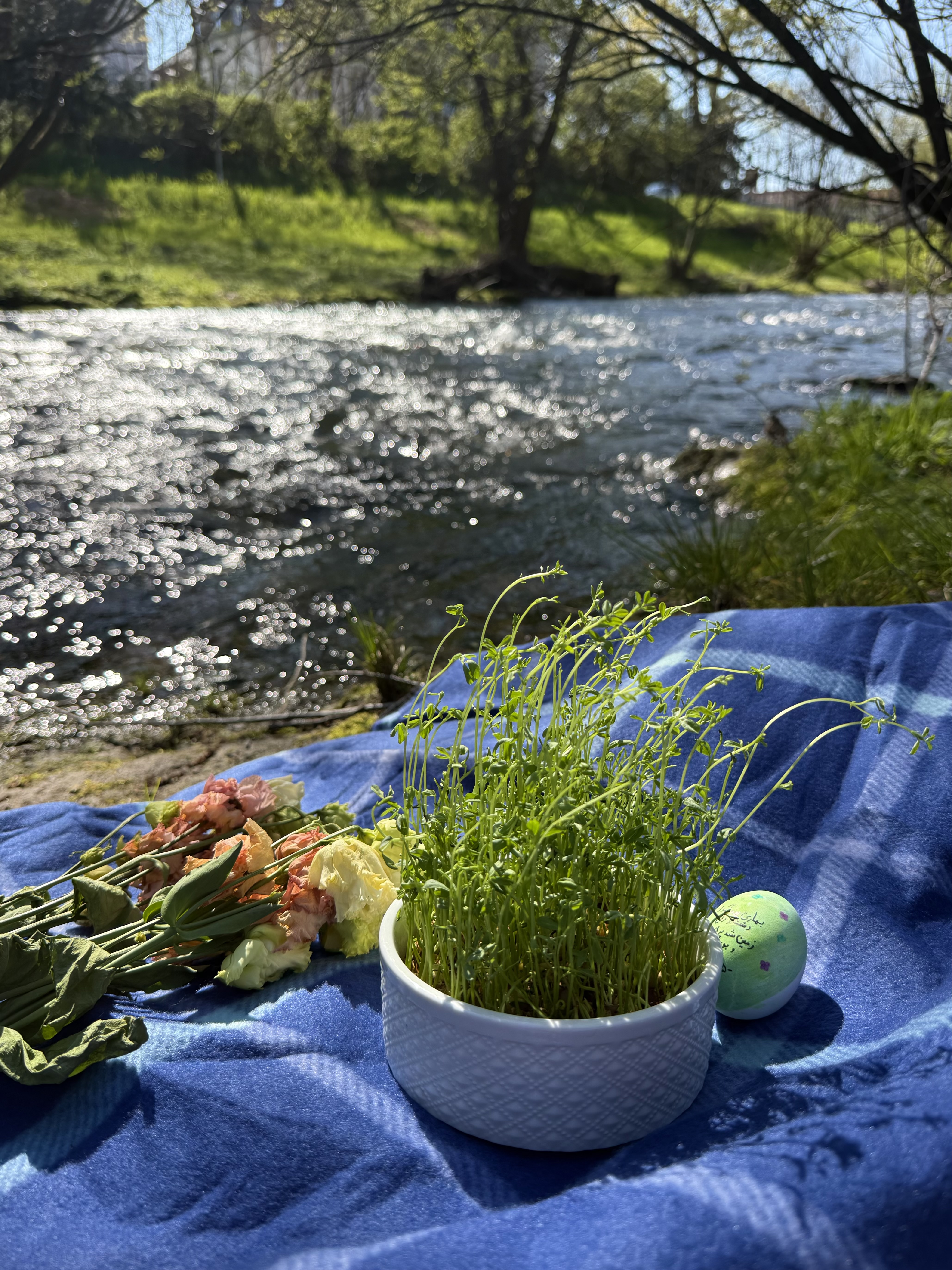 dreisam river and Sabzeh
