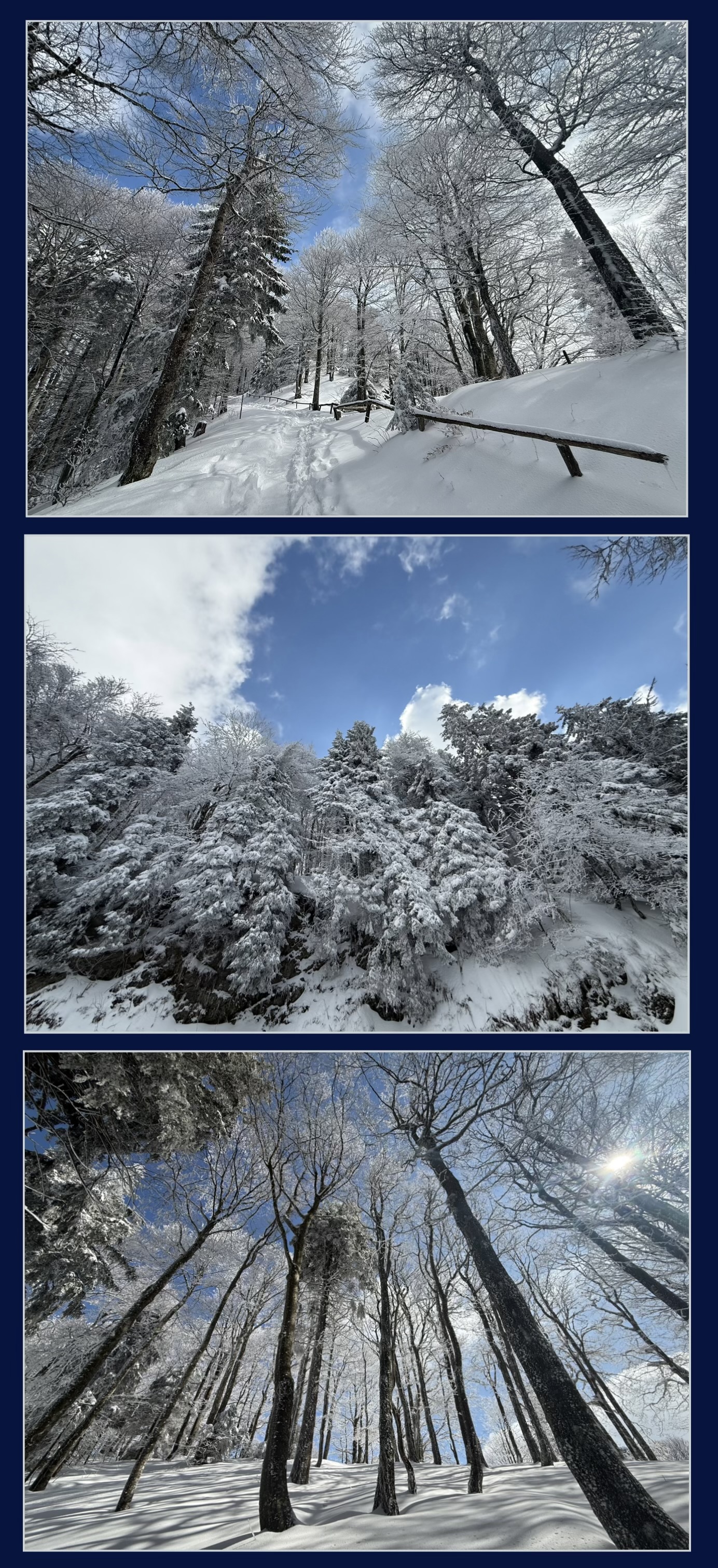 snowy schauinsland landscape