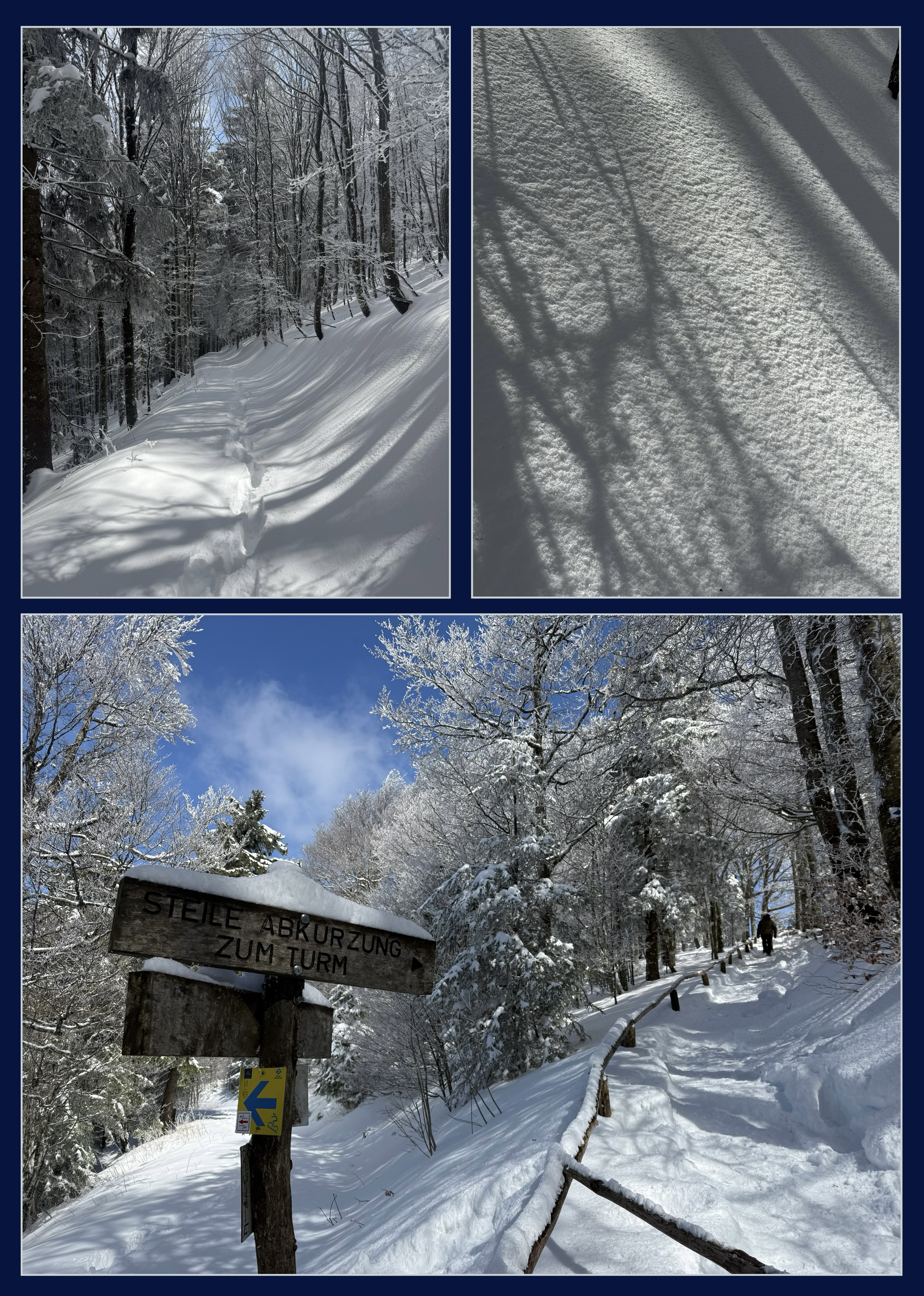 snowy schauinsland landscape